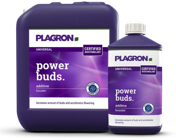 Plagron Power Buds