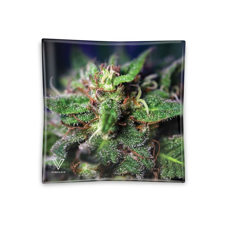 V SYNDICATE GLASS ASHTRAY BLUE DREAM