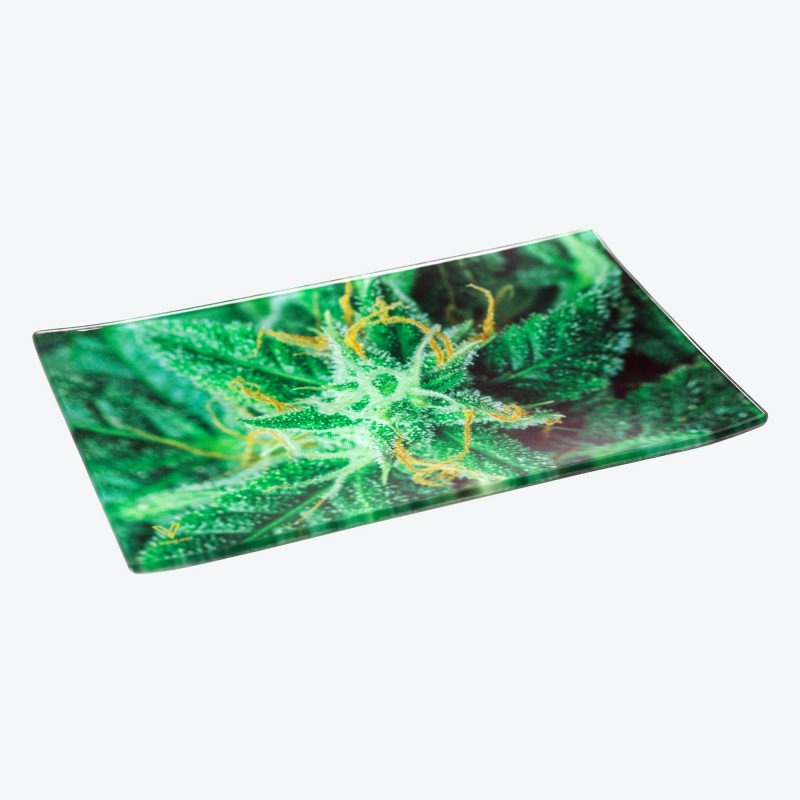 V-SYNDICATE GLASS TRAY LARGE - AK 47 26X16CM