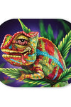 V-SYNDICATE MAG SLAPS SMALL CLOUD 9 CHAMELEON 18X14CM